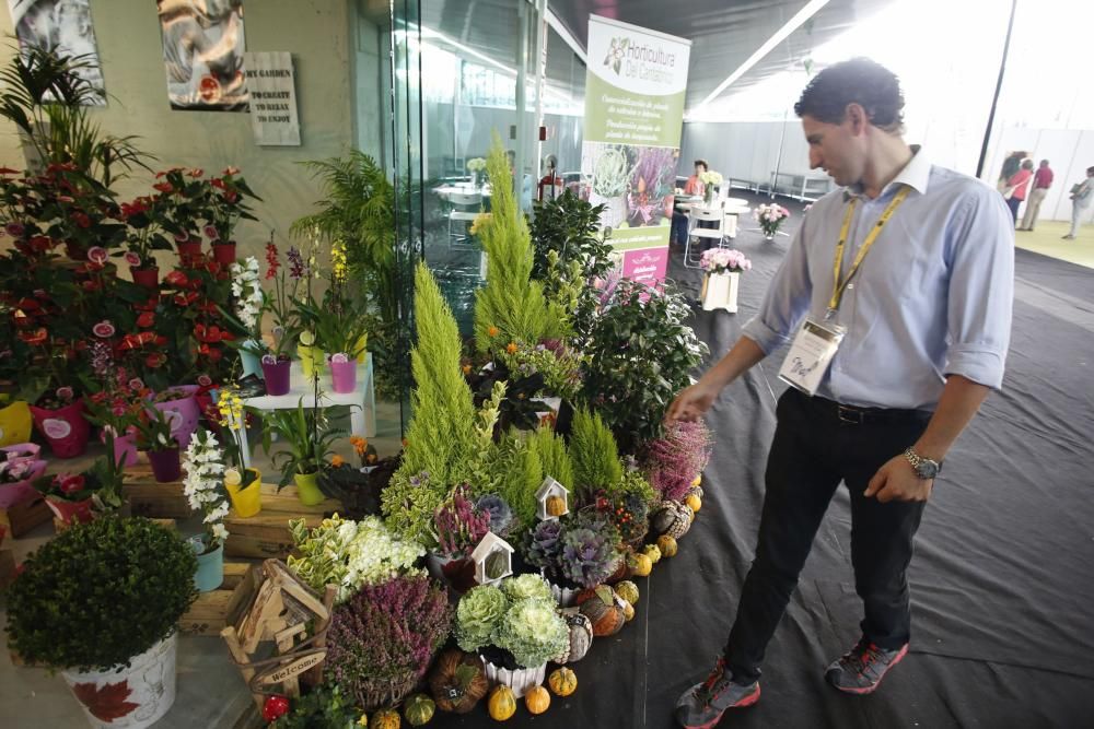 Arte floral en Avilés