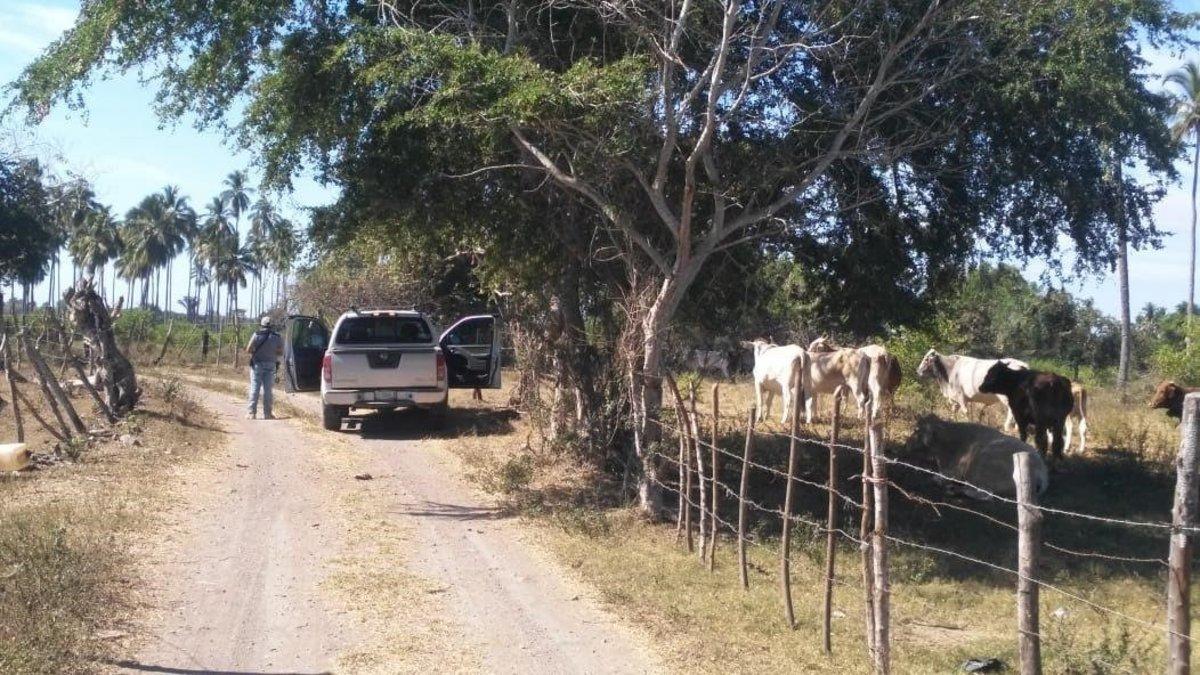 MEX30  TECOMAN  MEXICO   12 02 2019 - Policias del estado de Colima  Mexico  vigilan este martes los accesos a las fosas clandestinas donde al menos 69 cadaveres han sido exhumados  Las autoridades mexicanas localizaron un total de 69 cadaveres en las 49 fosas clandestinas localizadas en el municipio de Tecoman  informo este martes la Fiscalia General de Colima  Estos cadaveres y las fosas fueron localizados gracias a los indicios obtenidos durante las investigaciones que la Fiscalia de Colima ha cumplido desde hace semanas en la comunidad de Santa Rosa  en el municipio de Tecoman  EFE Sergio Uribe Diario de Colima SOLO USO EDITORIAL MEJOR CALIDAD DISPONIBLE