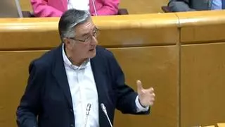 El PSOE rechaza en el Senado las demandas de Asturias en obras y financiación con una senadora murciana como portavoz y con las dos asturianas ausentes