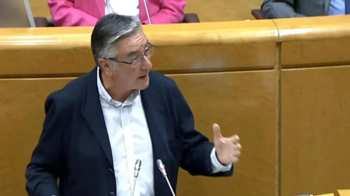 El PSOE rechaza en el Senado las demandas de Asturias en obras y financiación con una senadora murciana como portavoz y con las dos asturianas ausentes