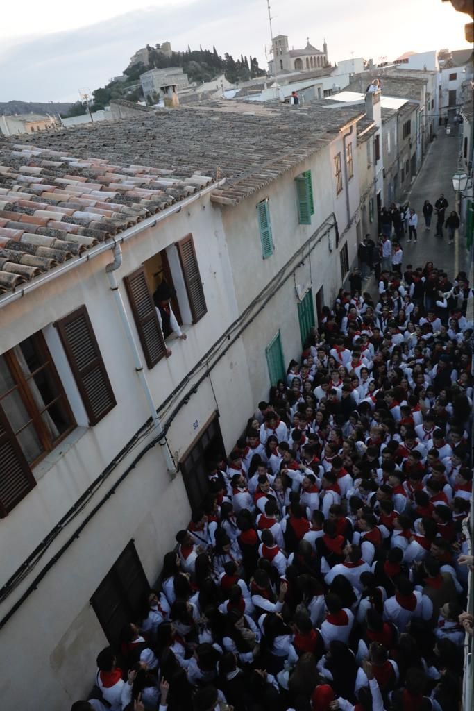 Sant Antoni 2023: Artà descorcha las celebraciones santantonieres