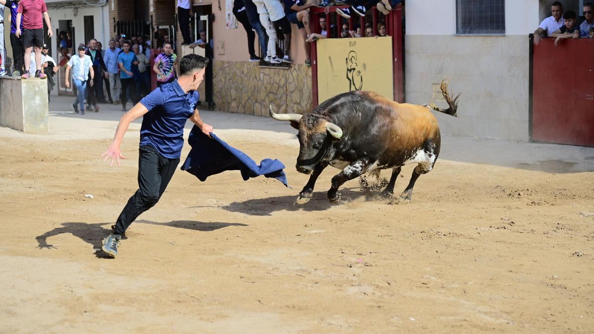El primero de la tarde fue un ejemplar de la ganadería de Las Ramblas patrocinado por la peña El Tacaet.