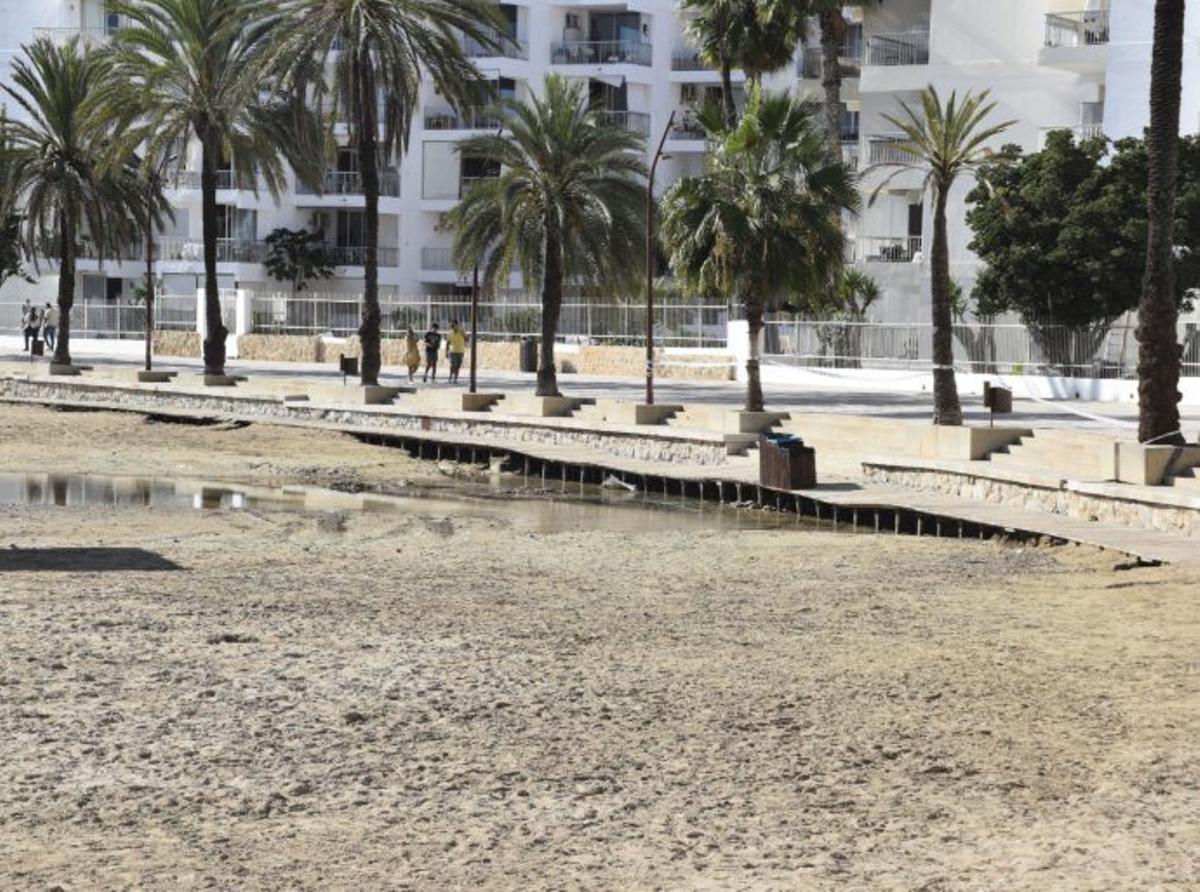 bb85f320 4a69 4f8a b198 8b5561bb2222 alta libre aspect ratio default 0 – Diario de Ibiza News Ses Figueretes