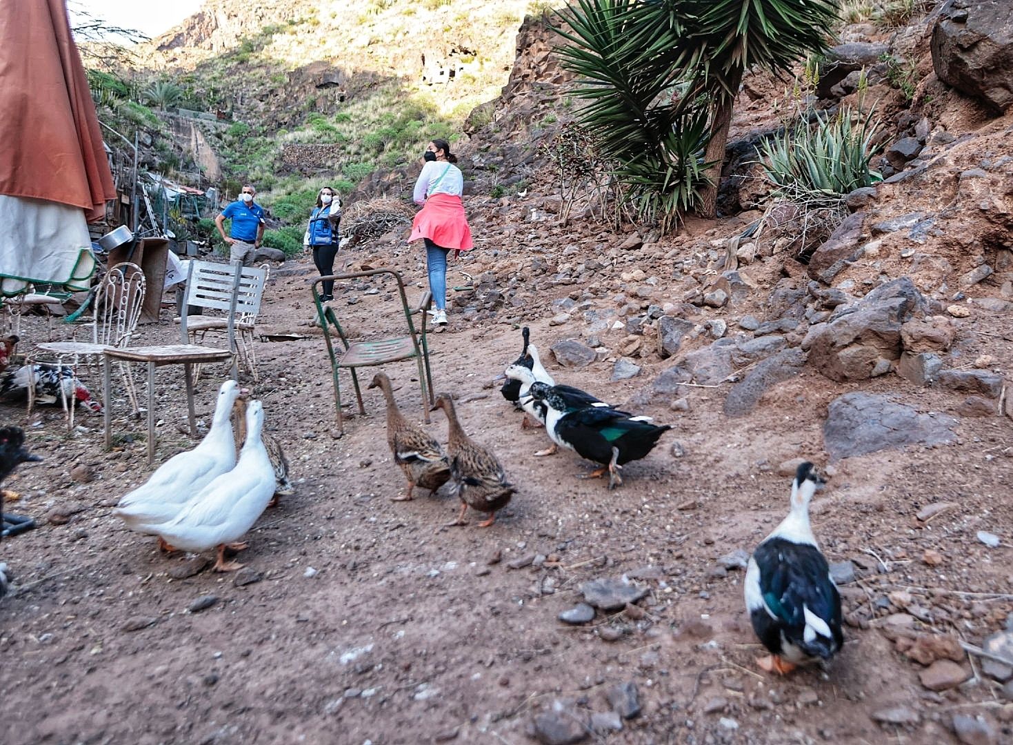 Recorrido por los barrancos de Santa Cruz con la UMA