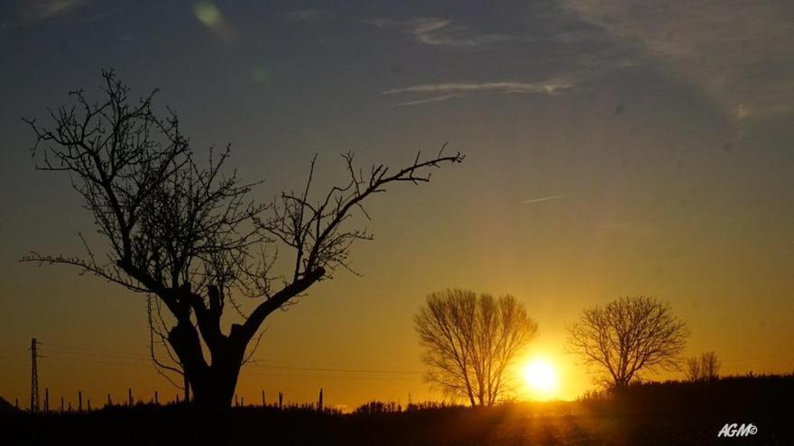 A Verges, aquest matí la temperatura era de cinc graus positius