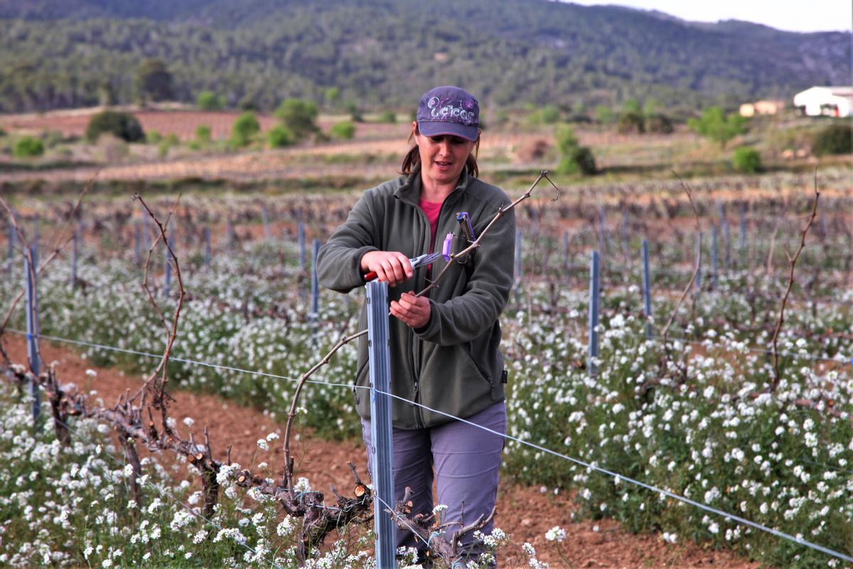 50 Viticultores del Penedès