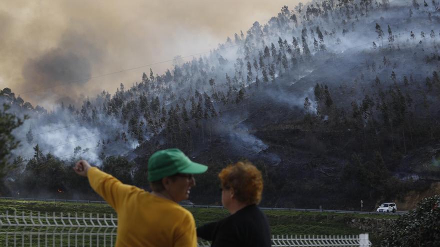 El monte de Fonfaraón, en Allande, recibirá tratamientos silvícolas valorados en 83.226 euros con un fin, evitar el riesgo de incedios