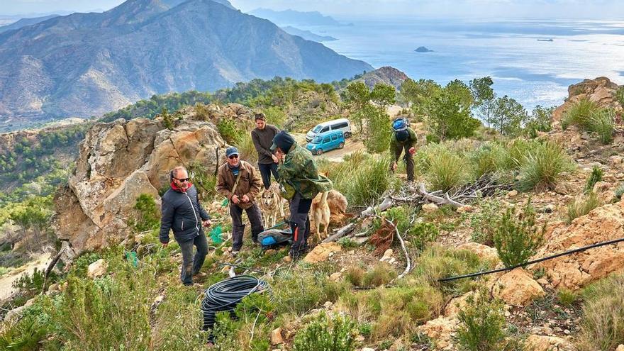 Miembros de la asociación trabajan en la implantación de riego por goteo en la cuarta fase del proyecto.