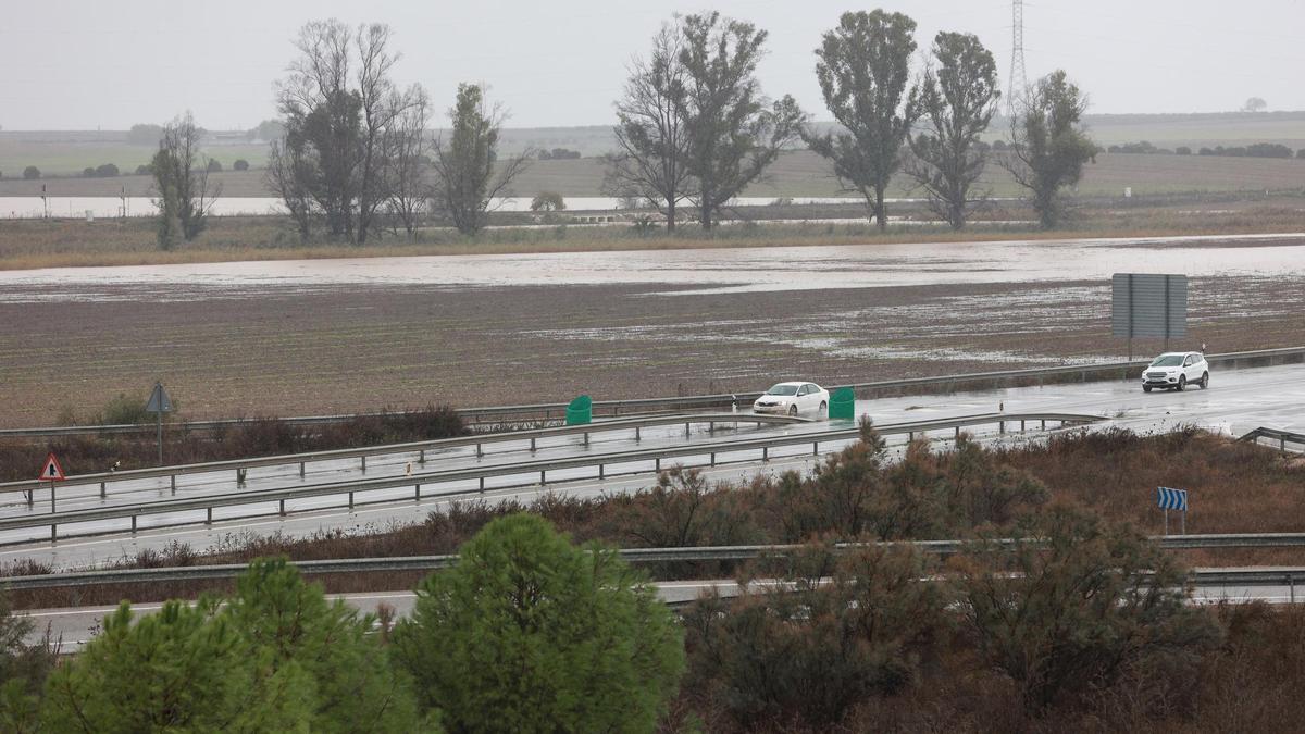 Inmediaciones de la carretera A-394 en Arahal anegadas por la lluvia en una imagen de archivo