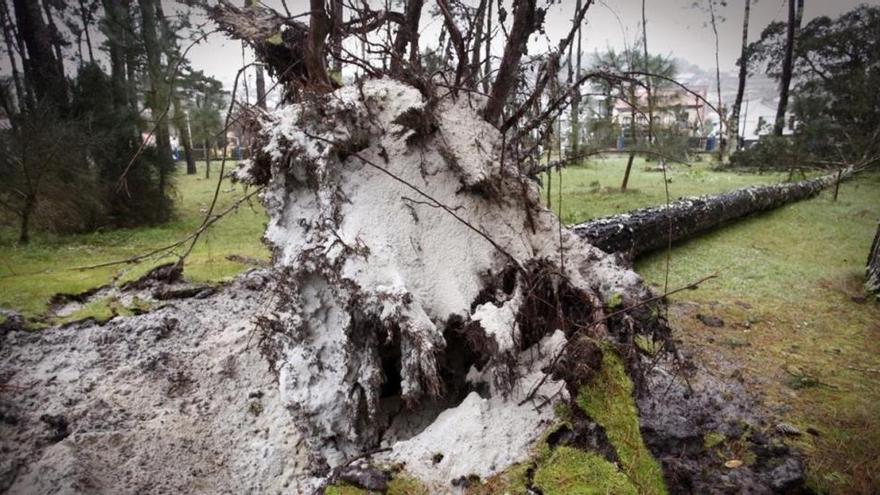 El temporal deja varios heridos y destrozos en Galicia