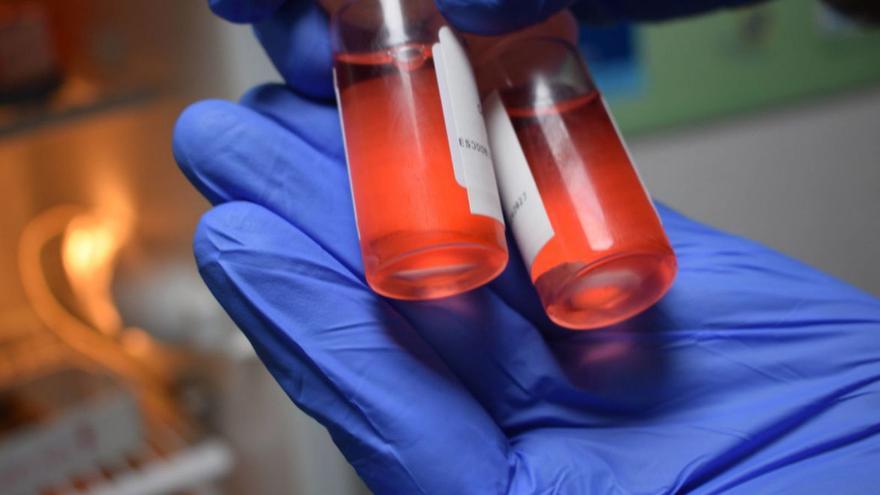 Membrana amniótica: un tesoro biomédico