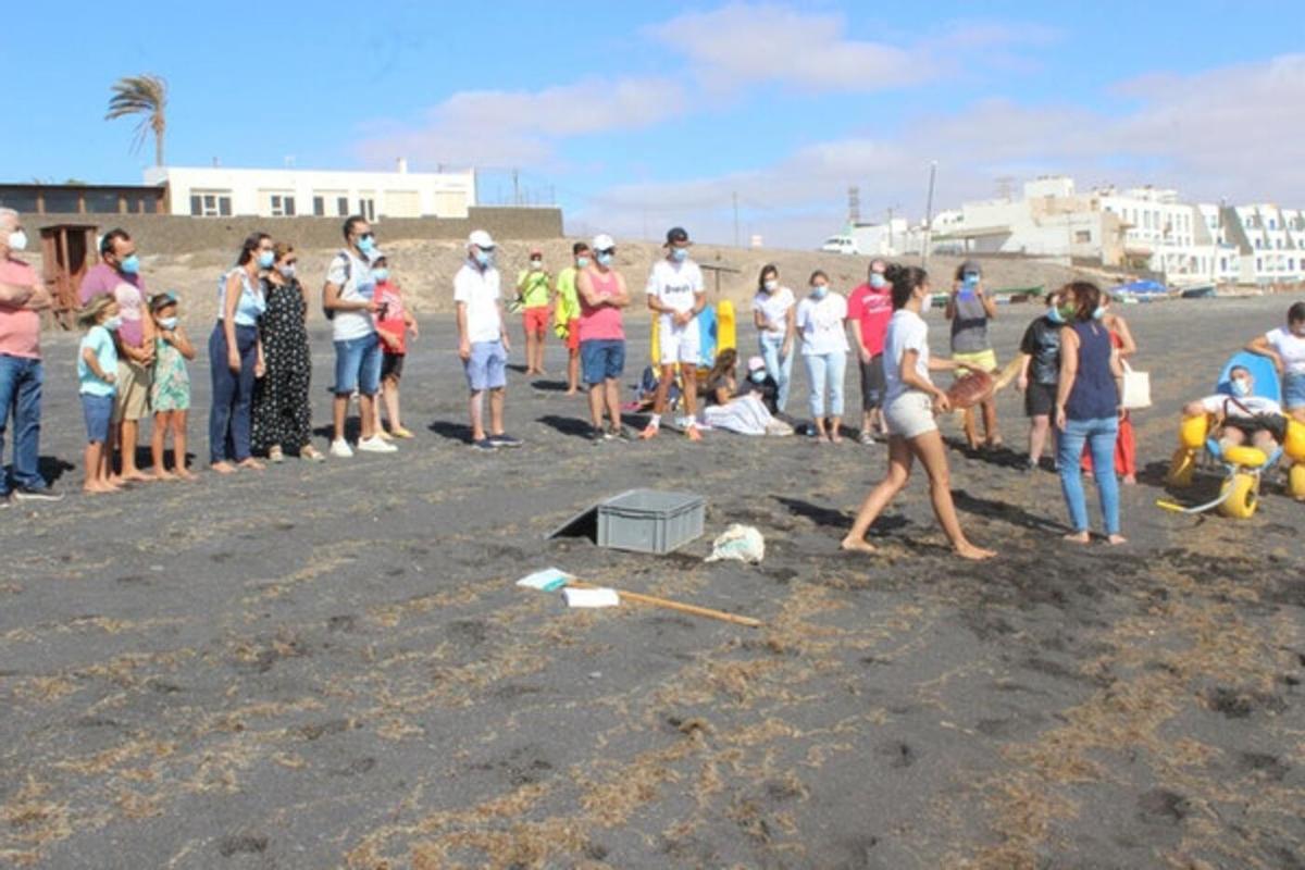 Suelta de una tortuga boba en Puerto Lajas.