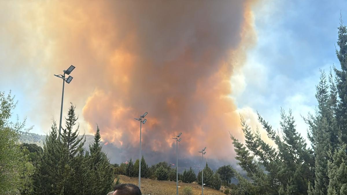 Vídeo | Incendio en Las Navas, en Herrera del Duque