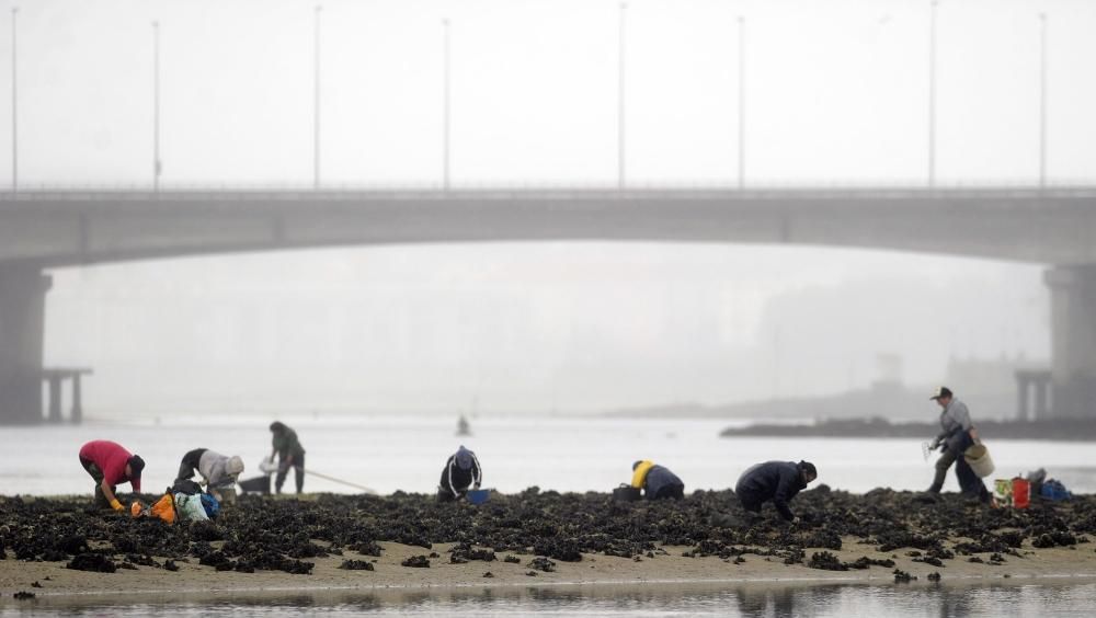 Reapertura de la ría tras permanecer inoperativa por la detección de un exceso de combustible en el agua.