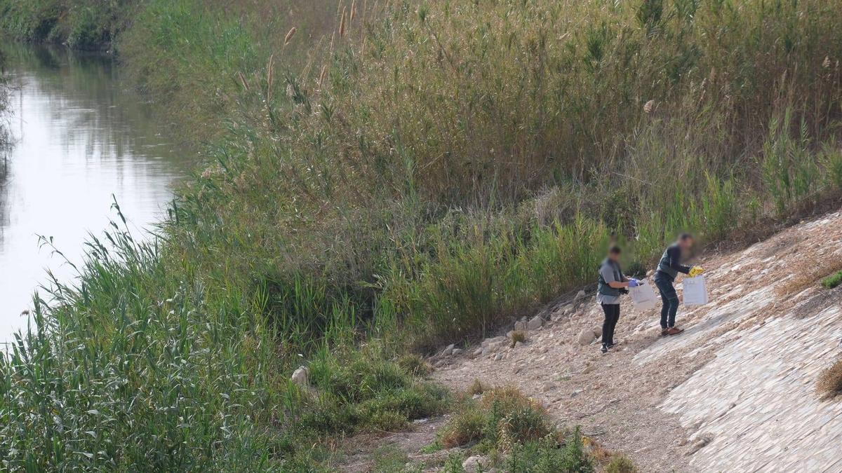 Hallan en el río Segura el cuerpo sin vida de un joven desaparecido en Almoradí