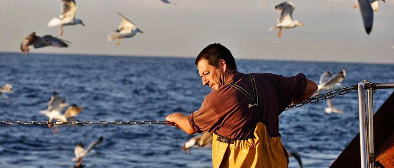 Una de las fotos de SEO/BirdLife para anunciar la exposición “Las aves, nuestros ojos en el mar”.