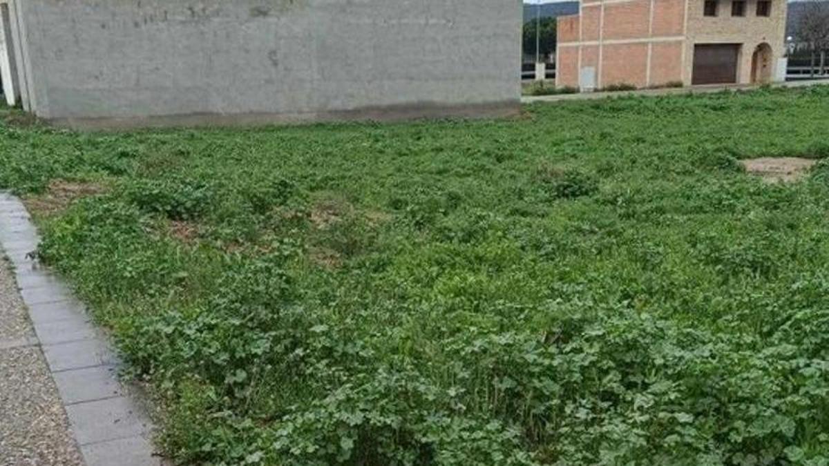 Solar Trashondos en Fraga.