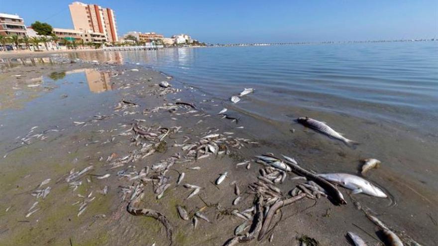Mar Menor: historia de un colapso ambiental que pudo haberse evitado