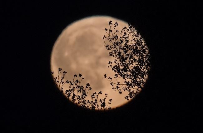 Superluna de abril, rosada y la más grande del año