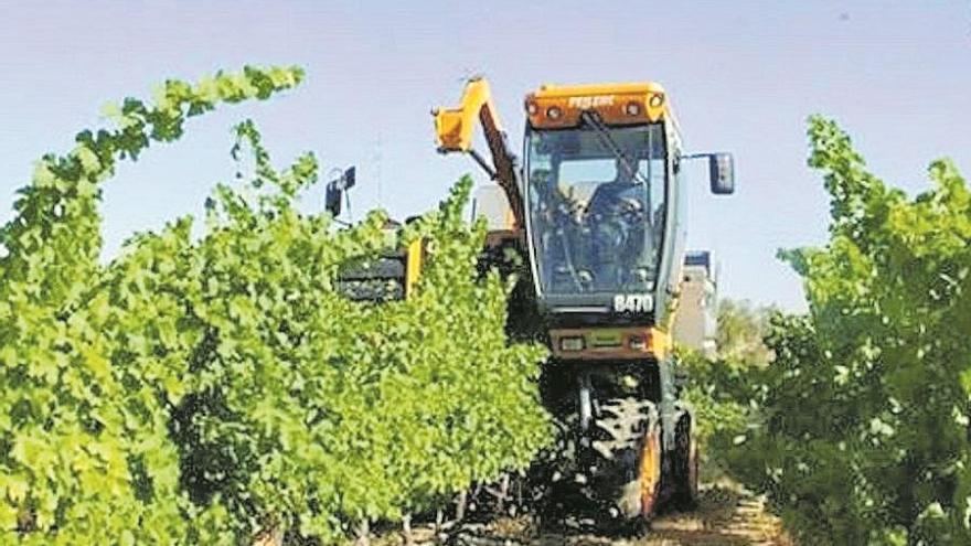 Las denominaciones de origen del vino reclaman más ayudas