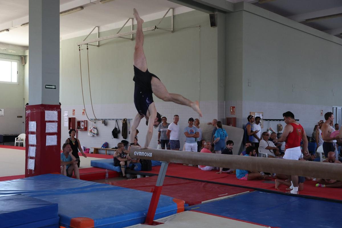 Gimnasia Artistica