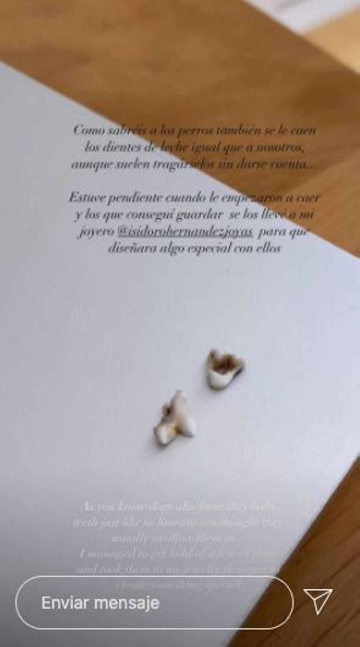 Pelayo Díaz explica como se ha hecho un colgante con los dientes de su perro