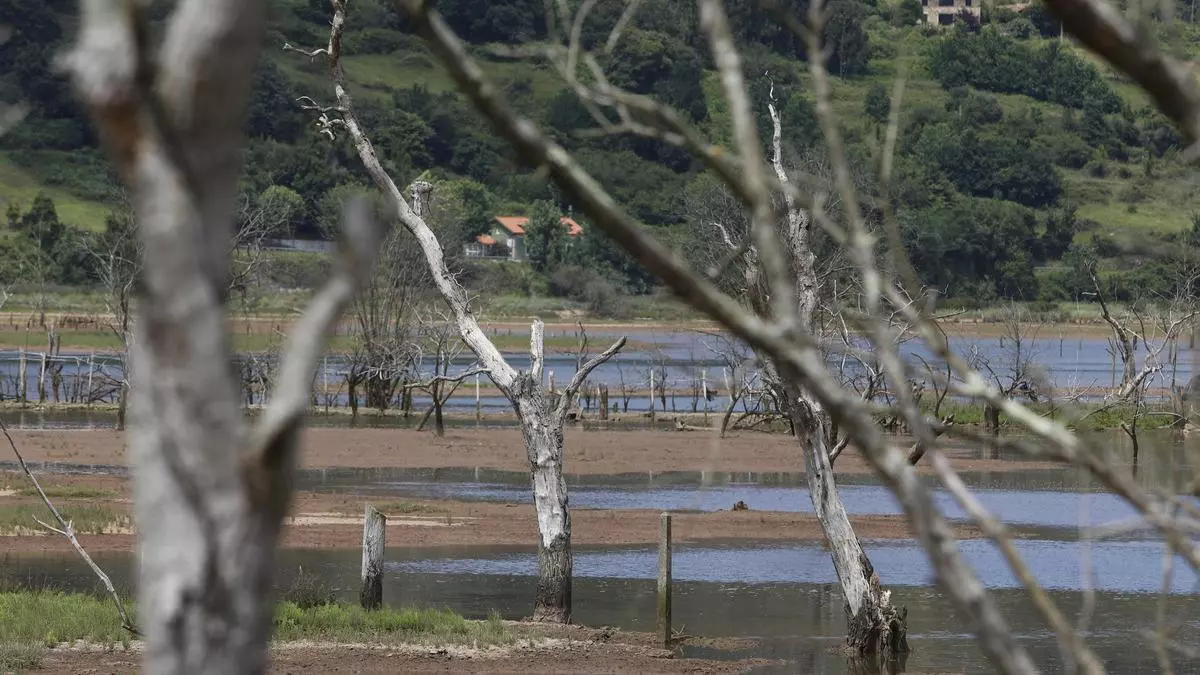 El Juzgado abre diligencias por un vertedero ilegal en la ría de Villaviciosa: esta es la denuncia del Ayuntamiento