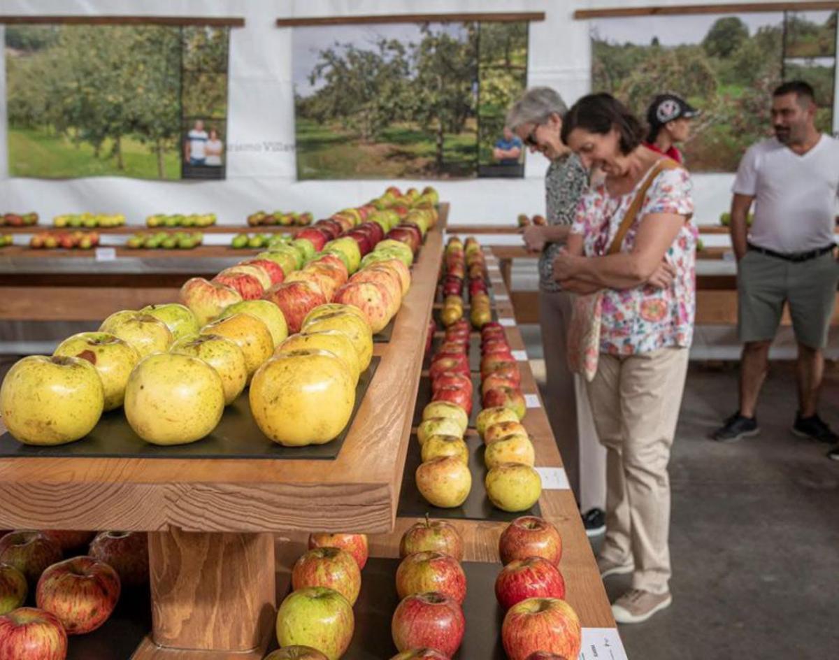 Villaviciosa celebra su 35º Festival de la Manzana con sabor a patrimonio