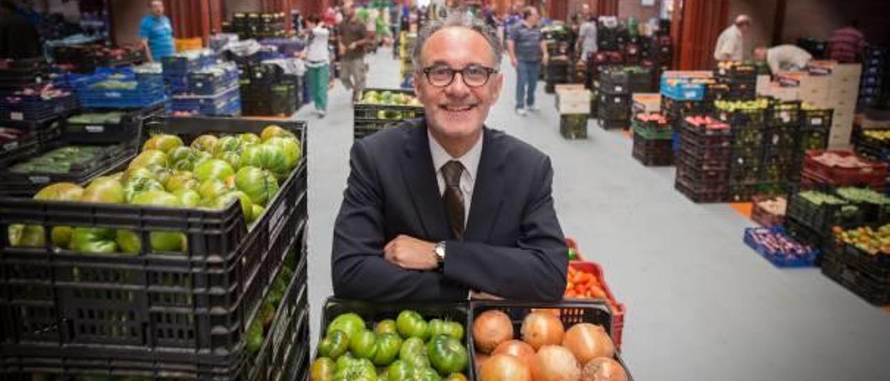 Mercalicante logrará este año un beneficio récord gracias a la marcha de Coca-Cola