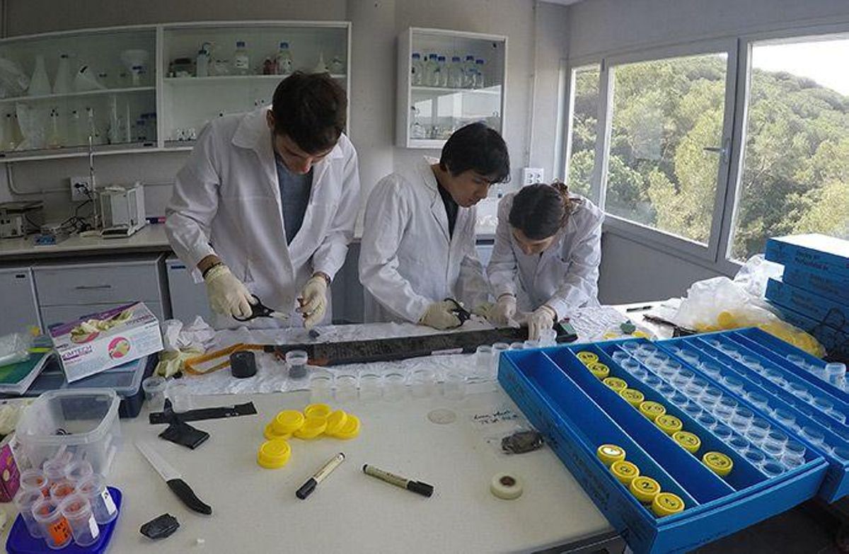 El diario milenario del Lago dos Nenos
