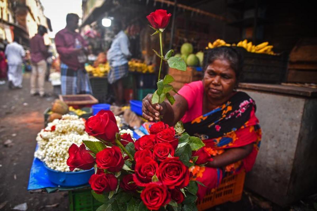 Un vendedor clasifica rosas rojas mientras espera a los clientes con motivo del Día de San Valentín, en un mercado de flores en Chennai, India