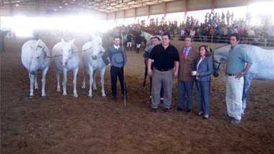 Trujillo proyecta la creación de una escuela hípica municipal