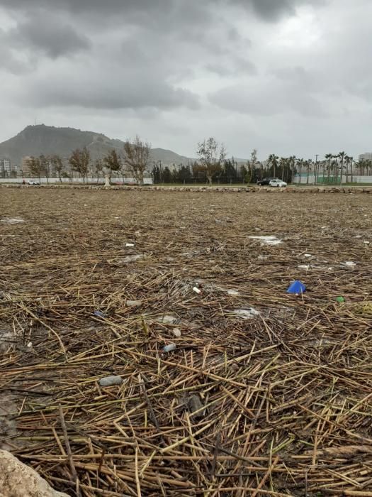 Desembocadura del Xúquer en Cullera