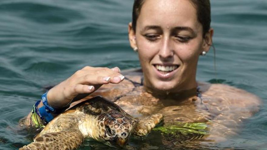 Una de las tortuga boba que se soltó ayer.