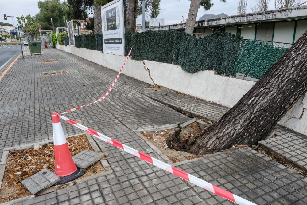 Consecuencias de la lluvia en Elda