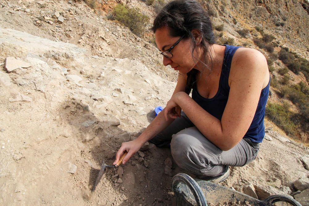 Excavaciones en el yacimiento arqueológico de Callosa de Segura