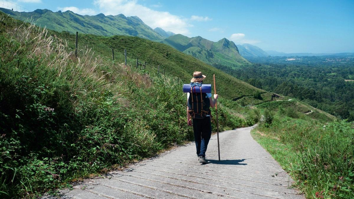 Peregrino, Camino de Santiago