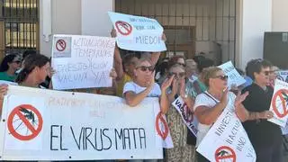 "No es realista" que la Organización Mundial de la Salud interceda en el virus del Nilo: "Es competencia de la Junta"