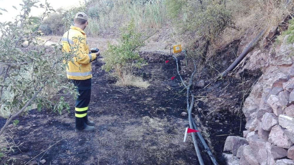 Los Agentes de Medio Ambiente controlan un incendio en La Culata