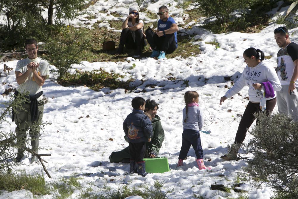 Miles de grancanarios suben a la Cumbre