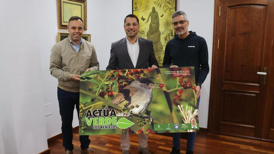 Los Realejos ofrece &#039;baños de bosque&#039; para mejorar la salud