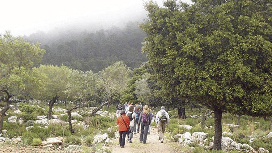 Un grupo de excursionistas camina por un tramo de la Ruta de la Pedra en Sec.