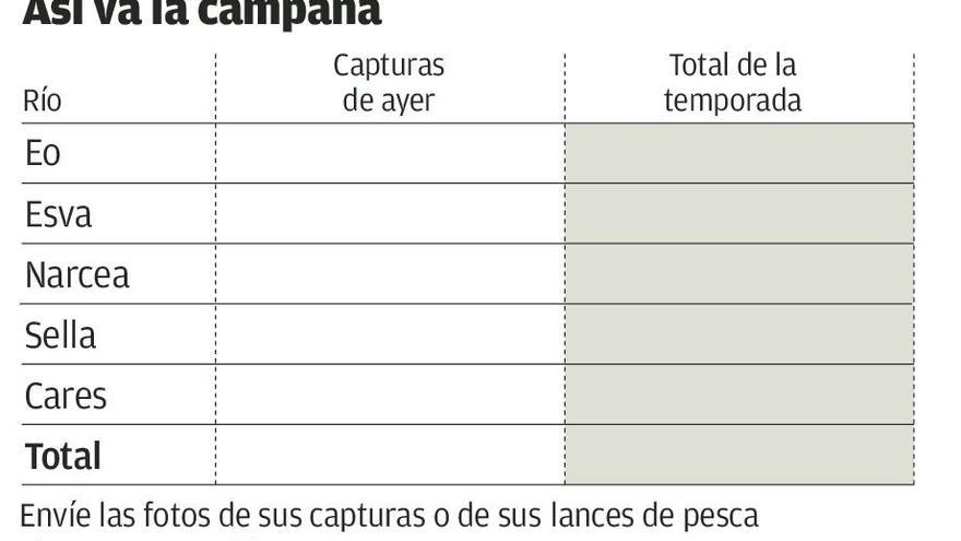 Narcea, Sella y Cares se reparten cuatro salmones