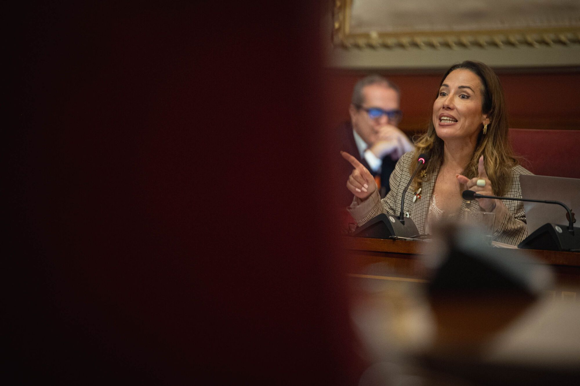 Pleno del Ayuntamiento de Santa Cruz