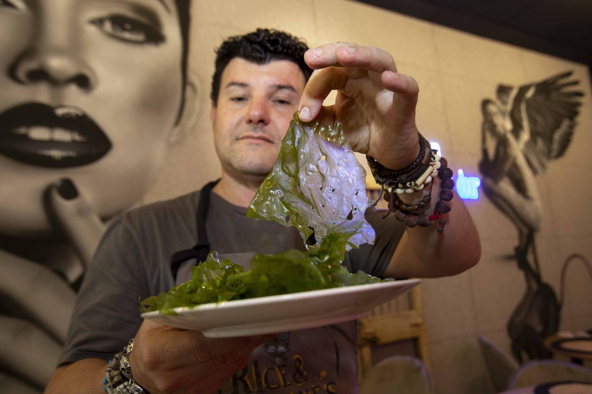 La lechuga de mar empieza a llegar a los restaurantes de Alicante