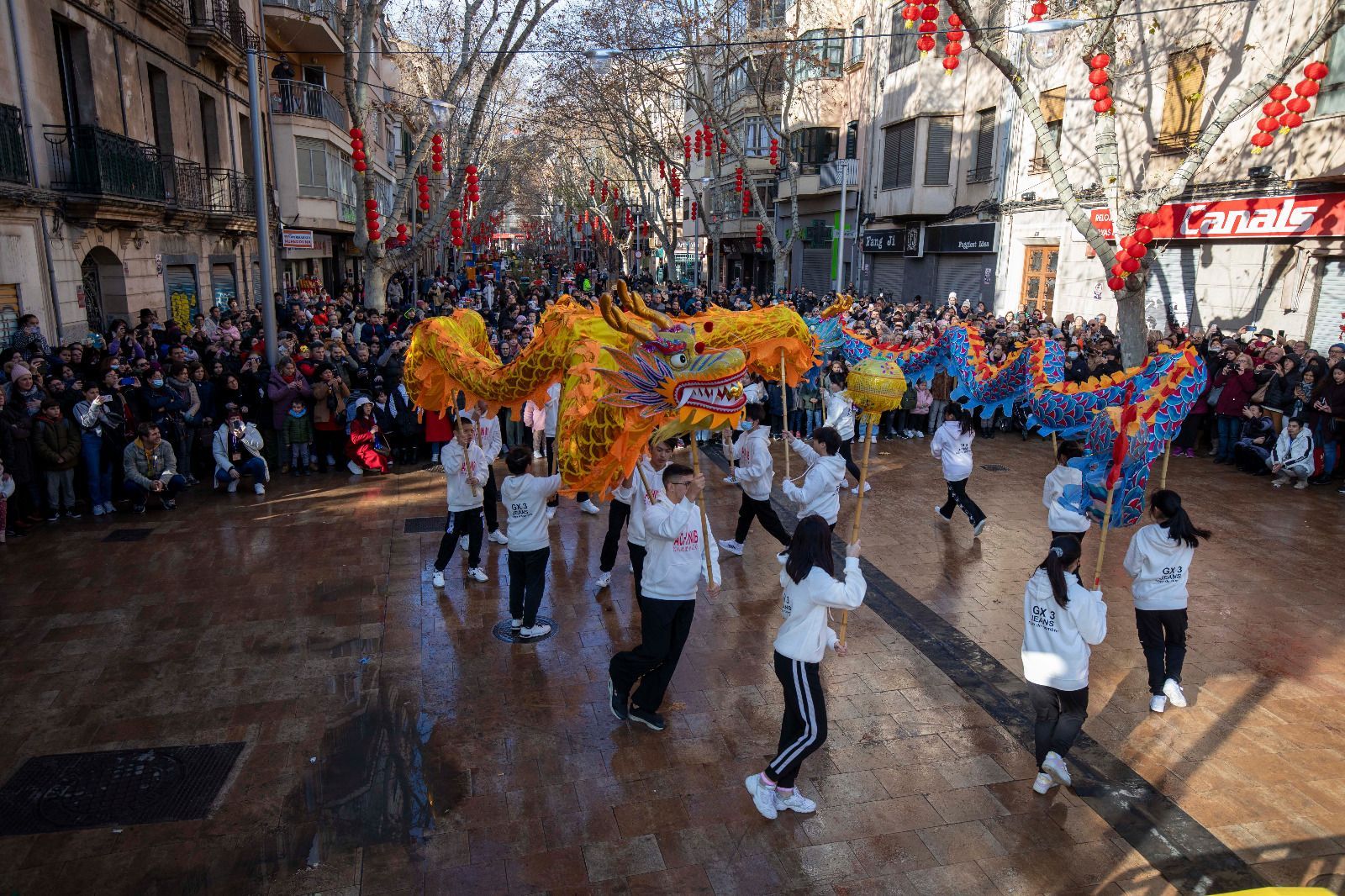 Tanzende Drachen: So bunt feiert Palma de Mallorca das chinesische Neujahrsfest