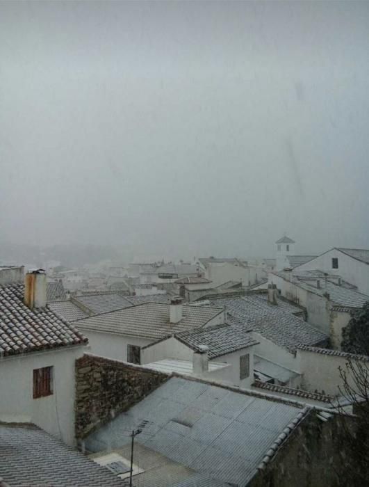 Nieve en Alfarnate.