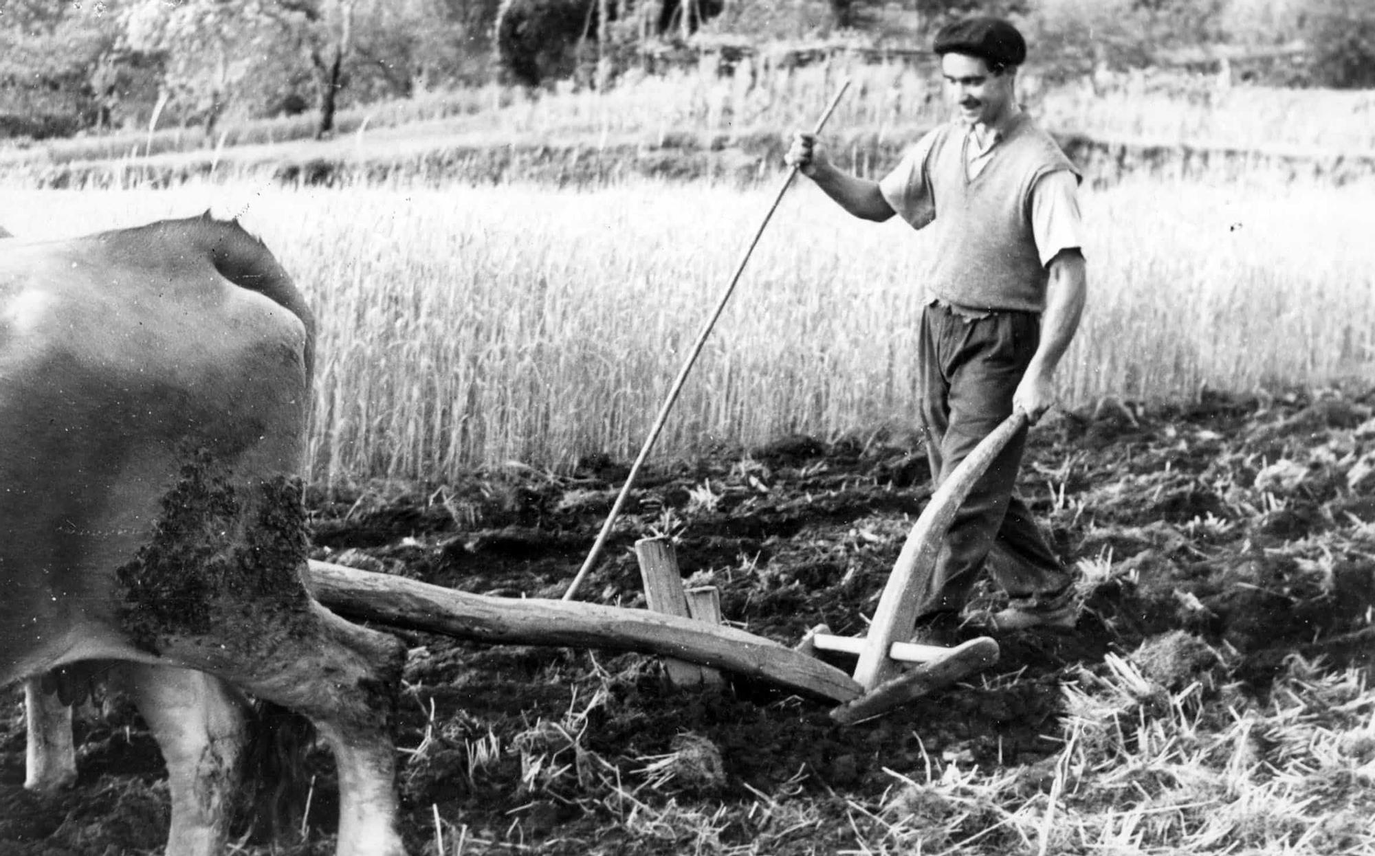 De 'cesteiros' a 'carrexadoras': el otro Vigo perdido