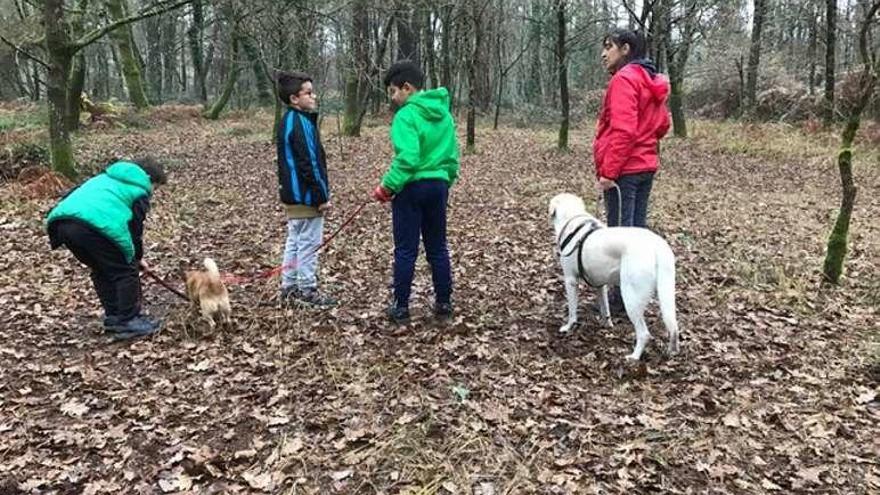 El perro encargado de comunicarse con ellos se llama Choupas. // FdV