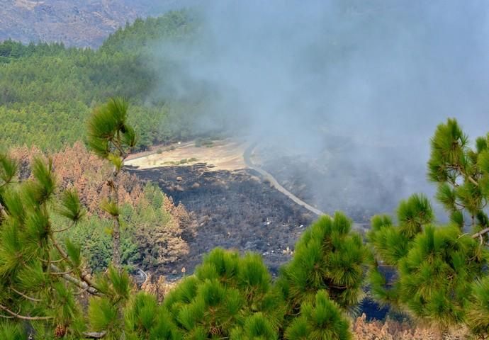 INCENDIO CUMBRE